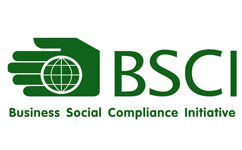 BSCI验厂操作指引流程