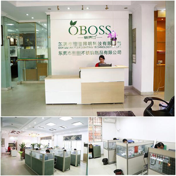 东莞市**照明科技有限公司ISO9001认证+辅导