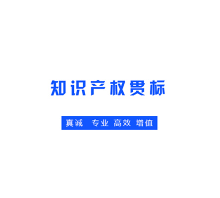 知识产权管理体系（贯标）