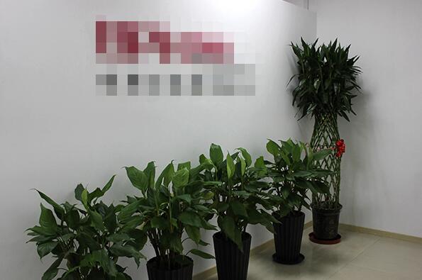 恭喜**国际贸易(广州)有限公司通过Smeta-4P验厂